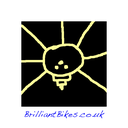 Brompton 6-speed wheel (in silver) discontinued