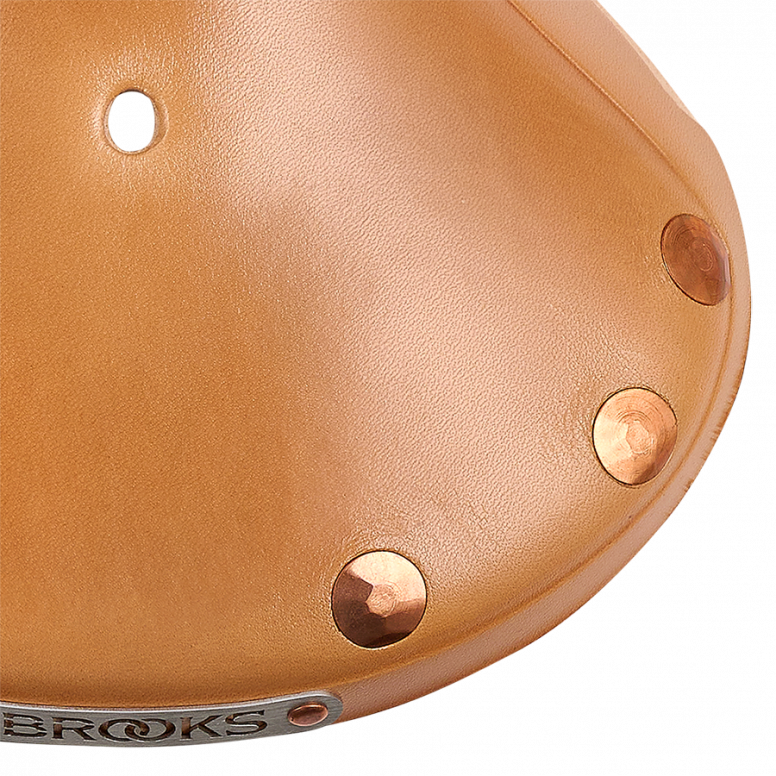 Brooks B17 Utmost saddle rivets.jpg.webp