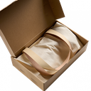 Brooks B17 Utmost saddle in protective bag.jpg.webp