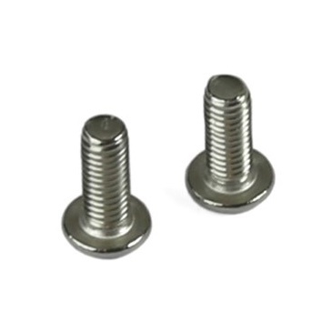Hope M3X8 Stainless Steel Torx Dome Head Screw (2Off)