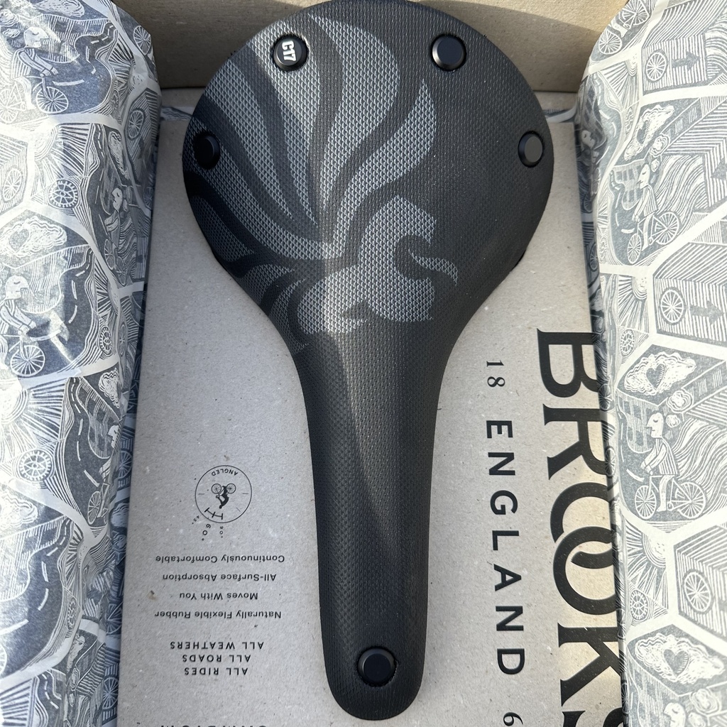 [Q102356] Brooks Cambium C17 AW (Team GB)