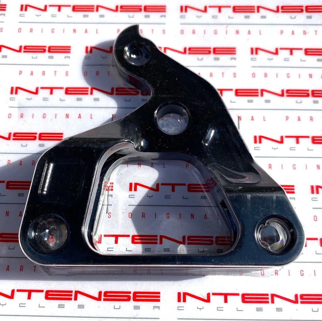 [IT130100] Intense G3 150mm slide through axle dropout - Drive side