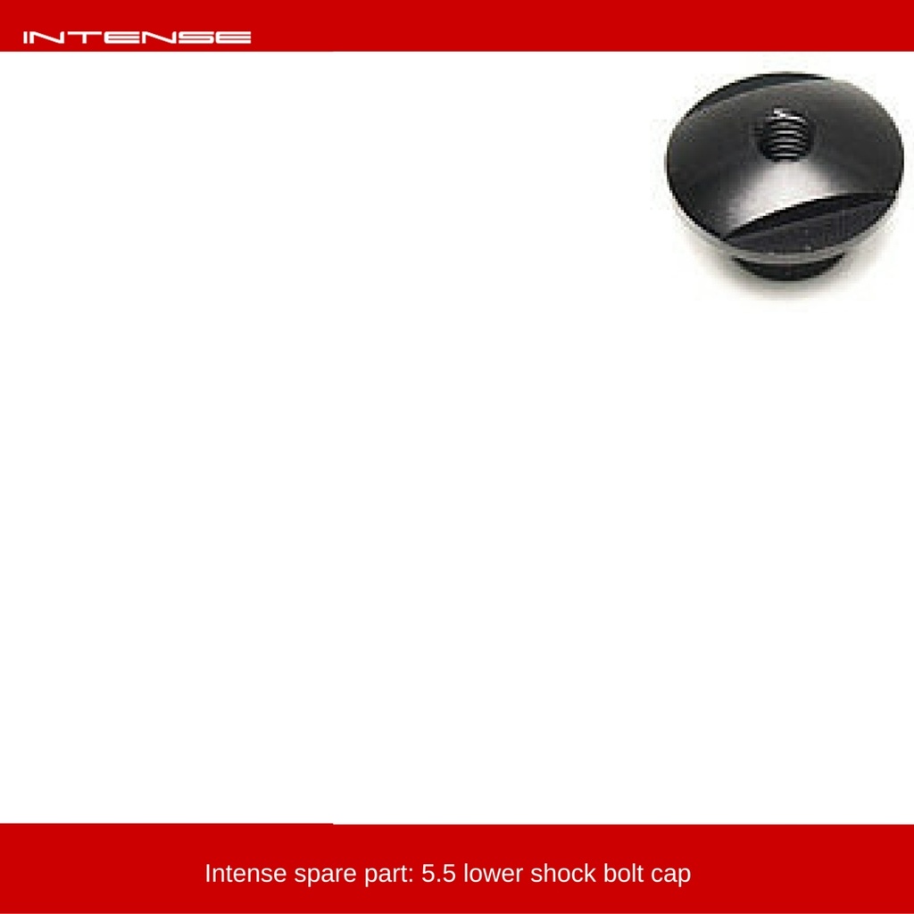 [130007] Intense 5.5 shock bolt nut