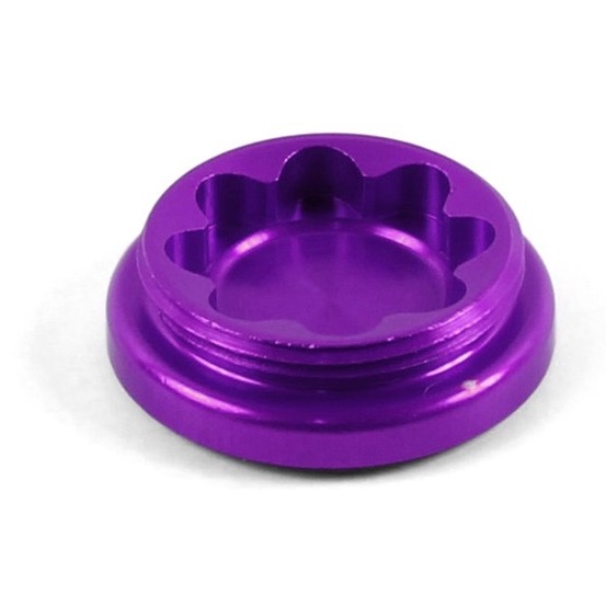 Hope X2 Caliper Bore Cap - Purple