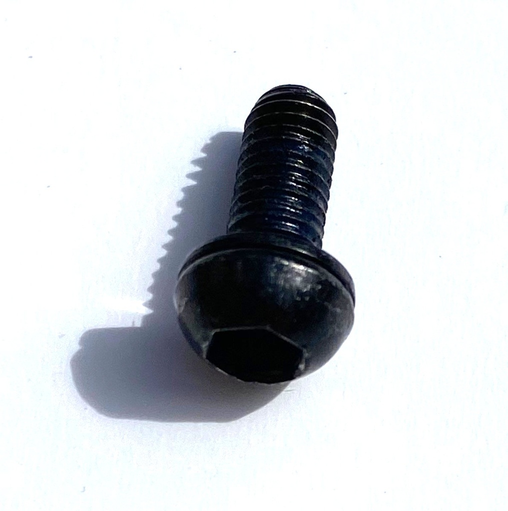 Intense mounting bolt M5 x 12 button head